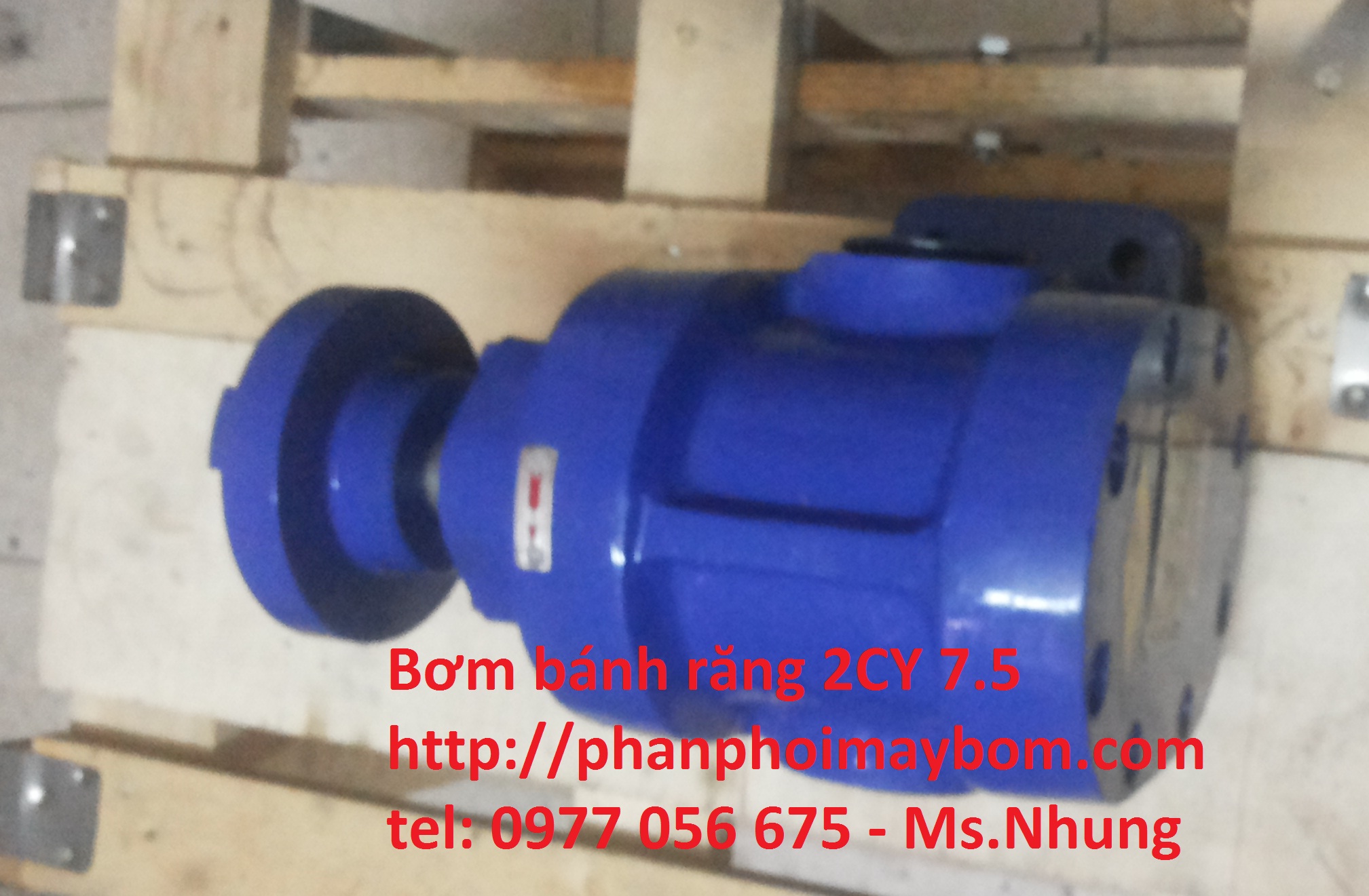Phao điện máy bơm, Phao điện tự động, phao bơm tự động